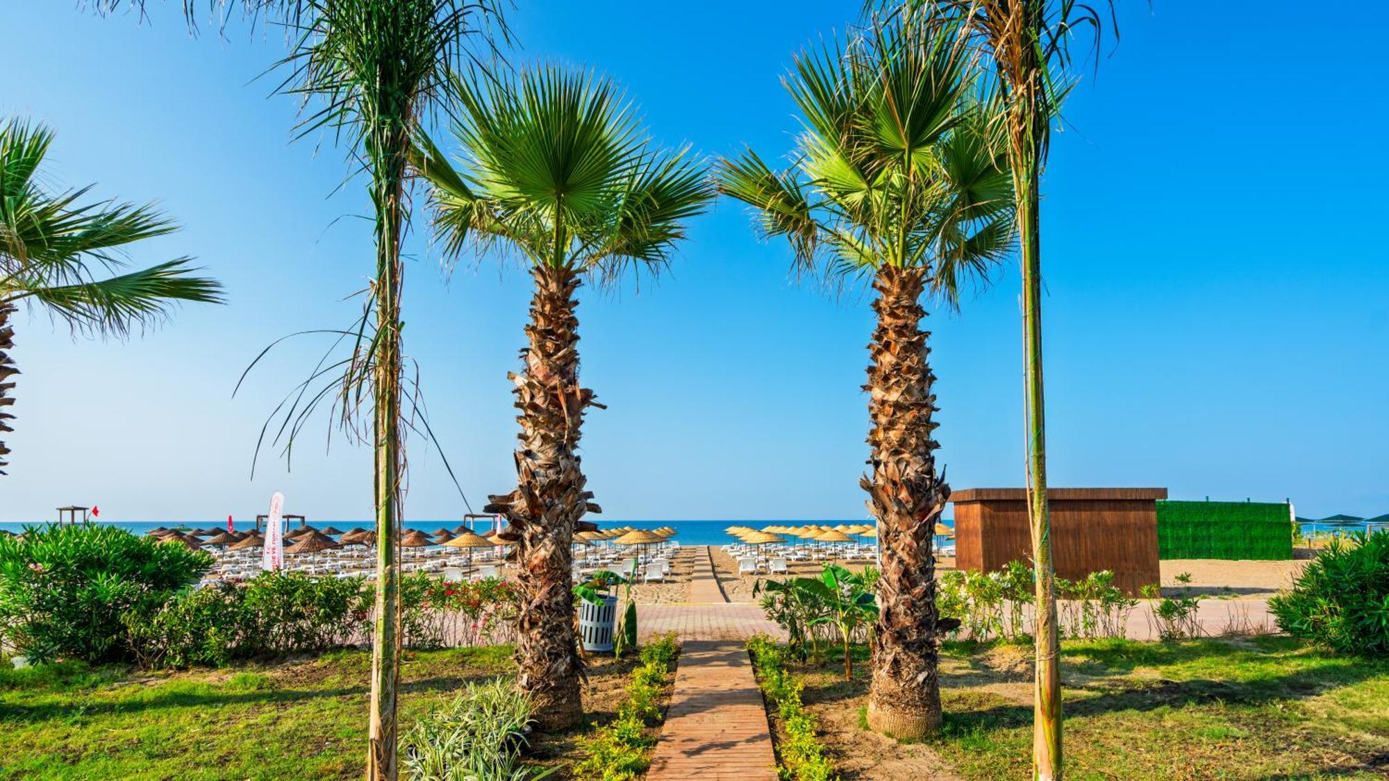 Sy Daire Belek